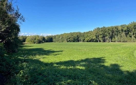 Image montant un paysage du Chablais pour illustrer les compensations environnementales